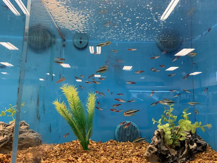 Petco Picture 8