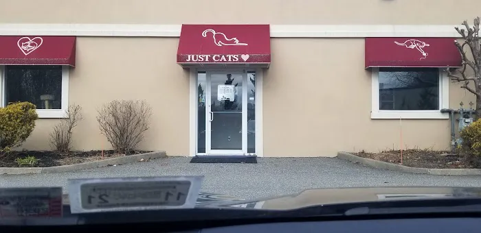 Just Cats Health Care Picture 4