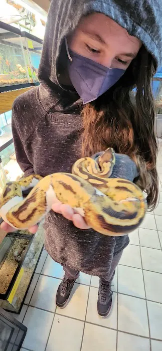 Slither & Swim Picture 6