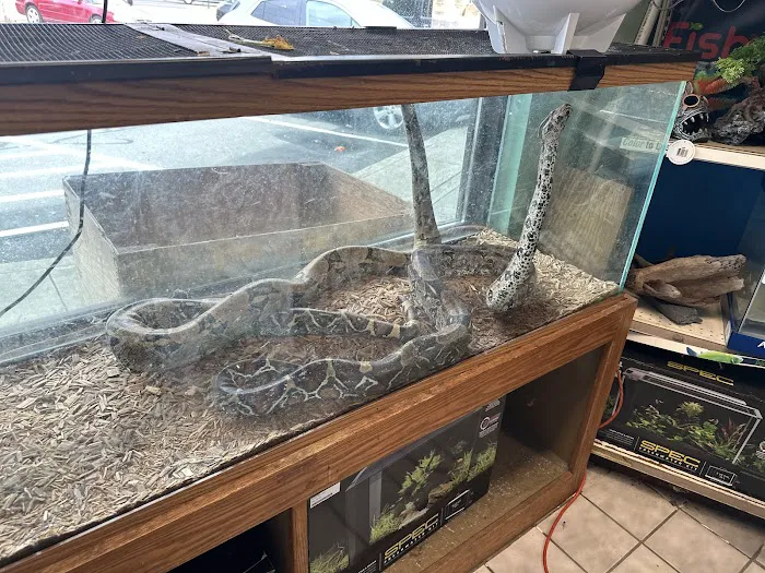 Slither & Swim Picture 10