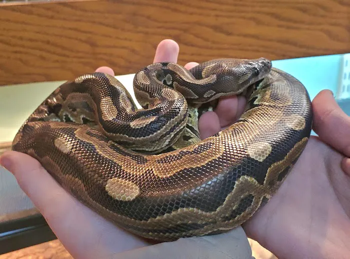 Slither & Swim Picture 7