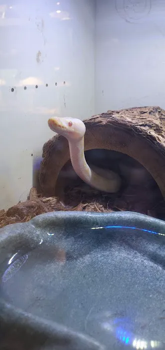 Slither & Swim Picture 1