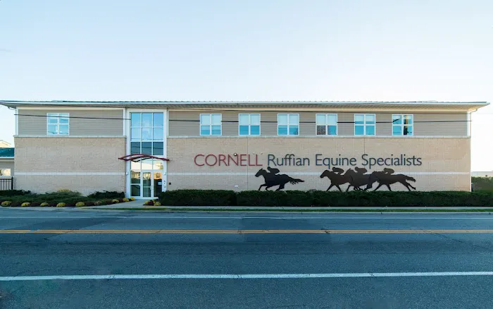 Cornell Ruffian Equine Specialists Picture 5