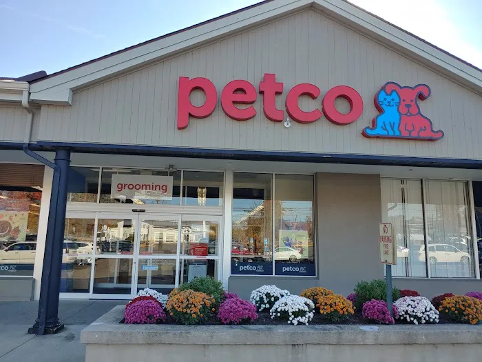 Petco Picture 9