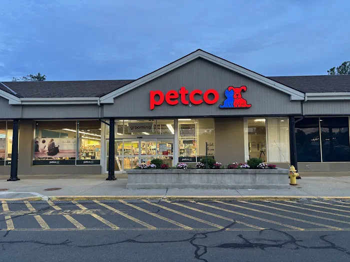 Petco Picture 8