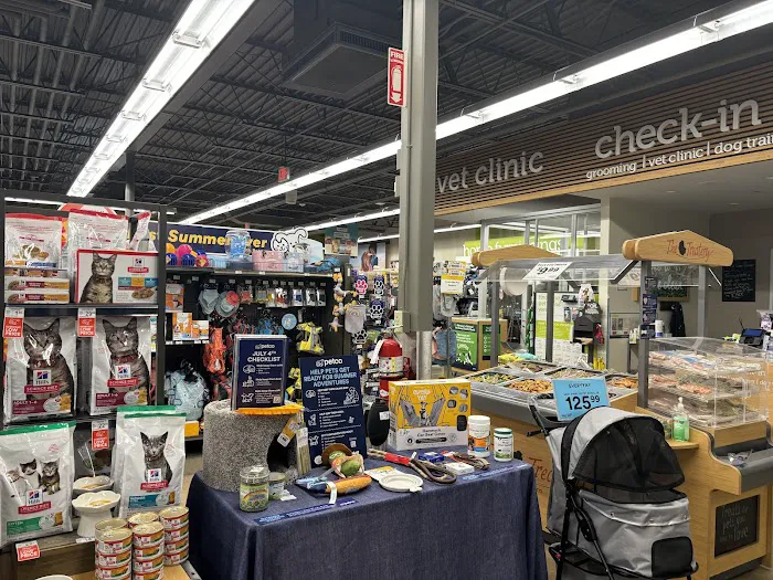 Petco Picture 3