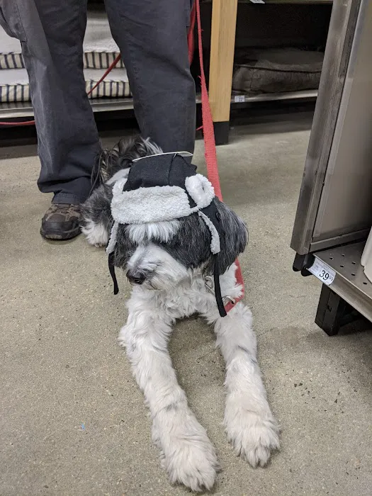 Petco Picture 1