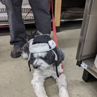 Petco ico