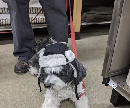 Petco