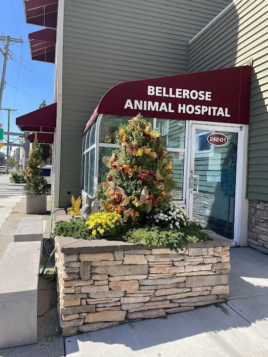 Bellerose Animal Hospital Picture 7