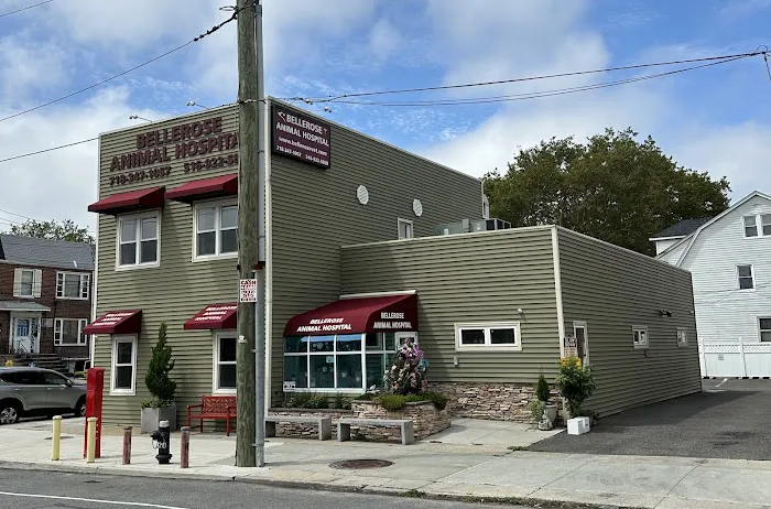 Bellerose Animal Hospital Picture 4