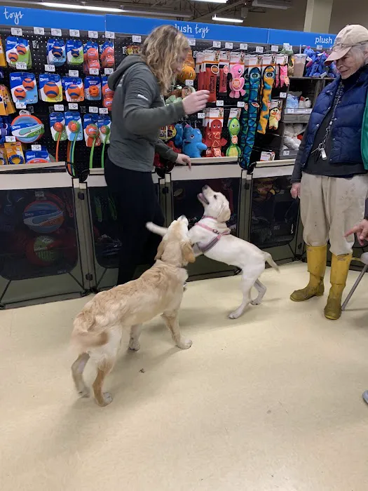 Petco Picture 4