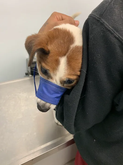 Merrick Blvd Animal Hospital Picture 6