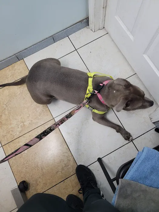Merrick Blvd Animal Hospital Picture 2