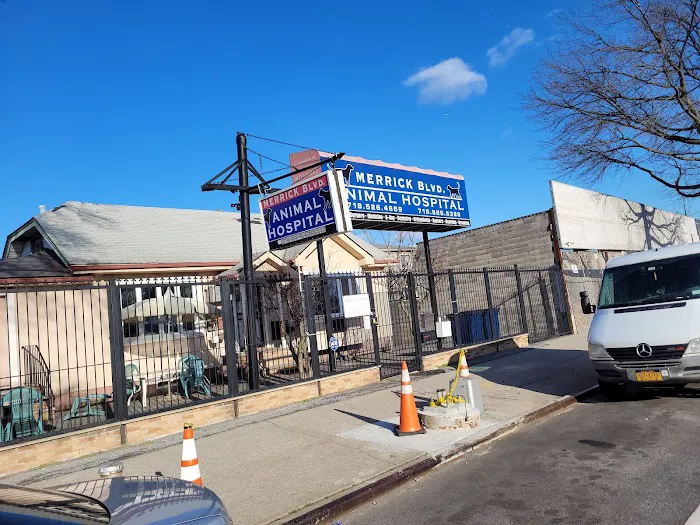 Merrick Blvd Animal Hospital Picture 9