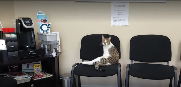 Veterinary Outpatient Treatment Center Picture 6