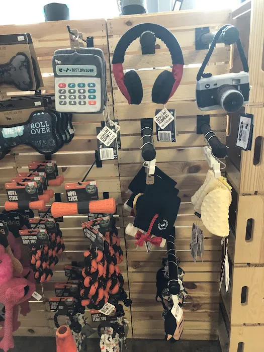 Community Pet Supplies - Huntington Village Picture 4