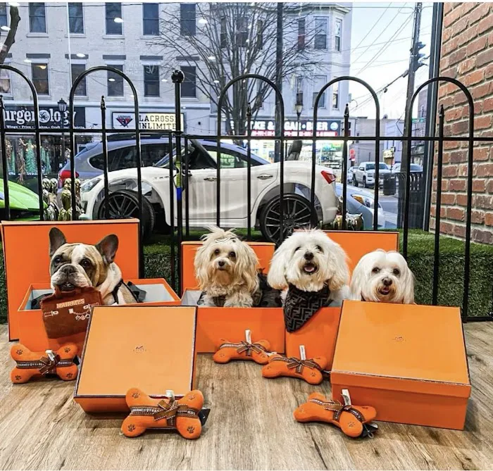 Community Pet Supplies - Huntington Village Picture 9