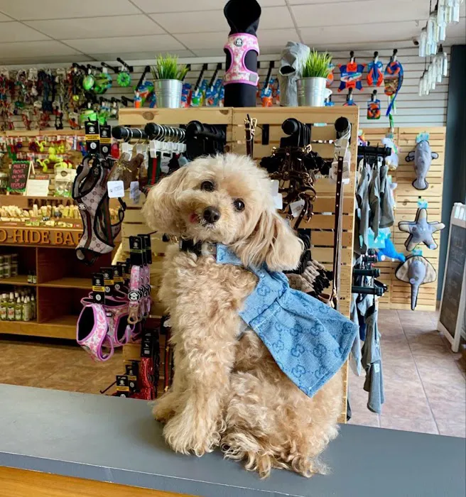 Community Pet Supplies - Huntington Village Picture 6