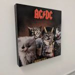 Long Island Spay and Neuter