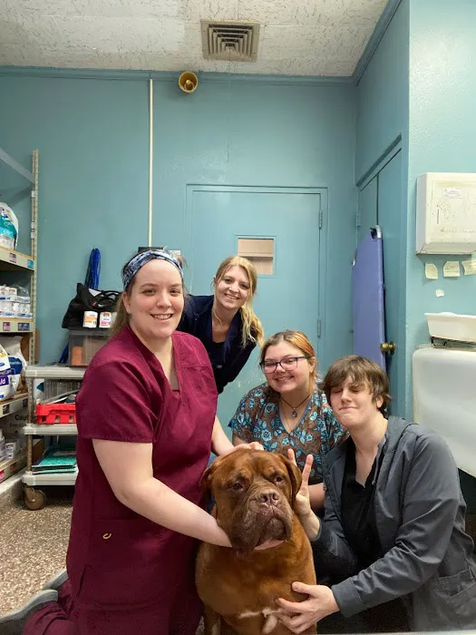 Paumanok Veterinary Hospital Picture 5
