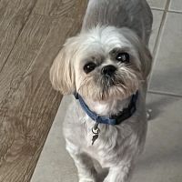 Paumanok Veterinary Hospital ico