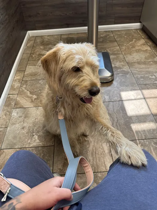 Bellport Animal Hospital Picture 5