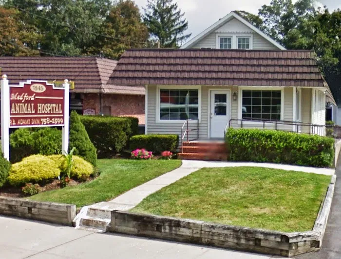 Medford Animal Hospital Picture 9