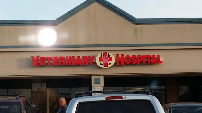Island Veterinary Hospital Picture 10
