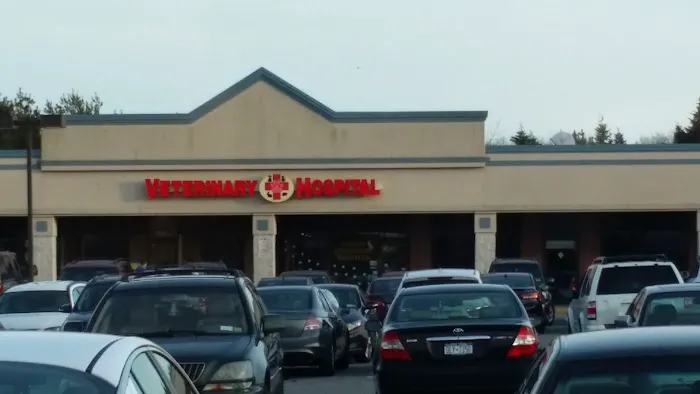 Island Veterinary Hospital Picture 1