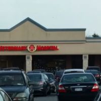 Island Veterinary Hospital ico