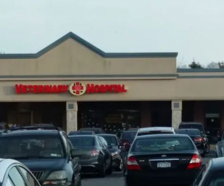 Island Veterinary Hospital