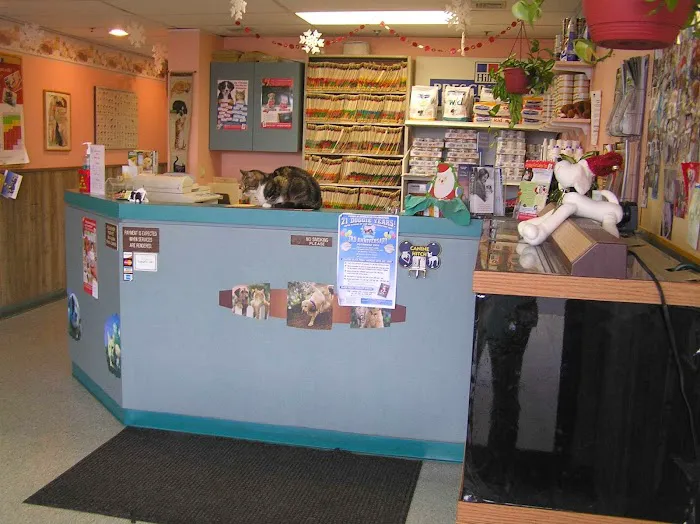 Island Veterinary Hospital Picture 9