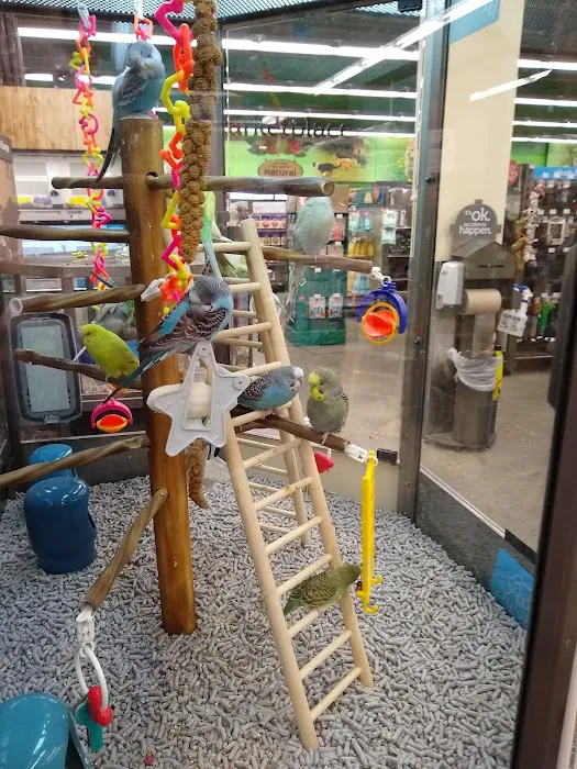 Petco Picture 9