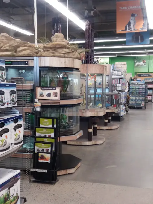 Petco Picture 8