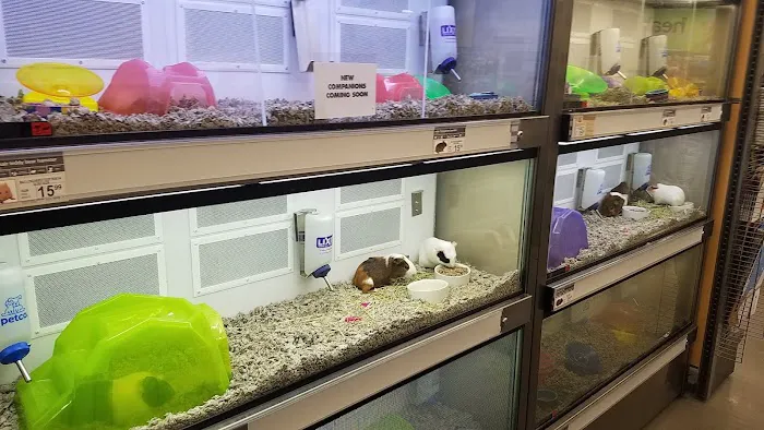 Petco Picture 1