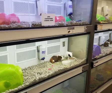 Petco