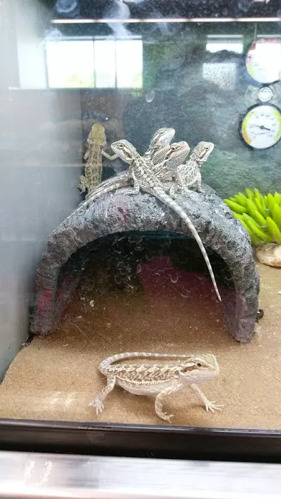 Petco Picture 10