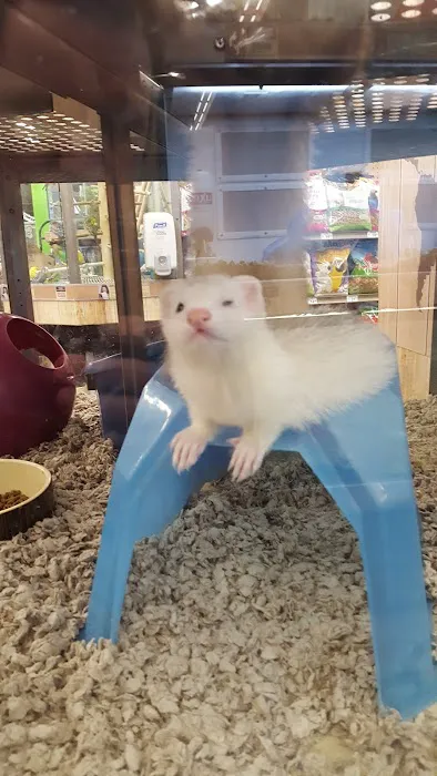 Petco Picture 3