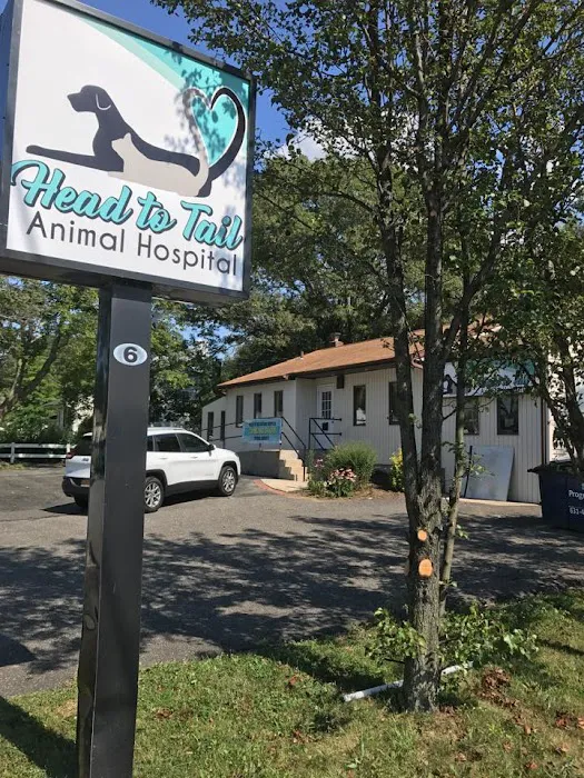 Head To Tail Animal Hospital Picture 7