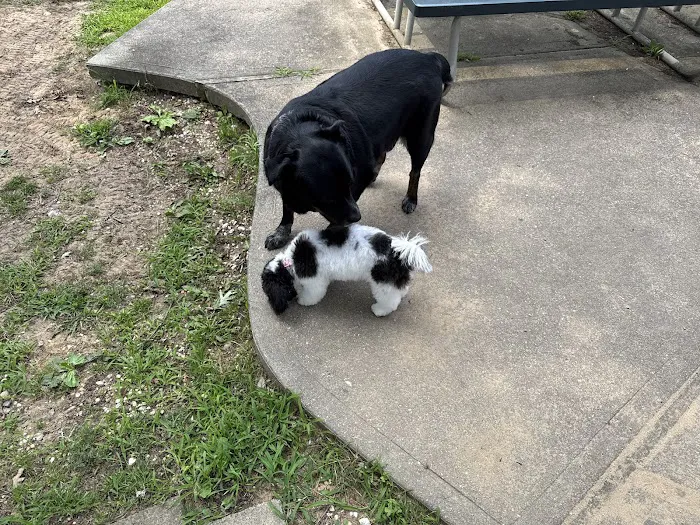 Head To Tail Animal Hospital Picture 1