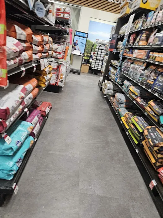 Petco Picture 7