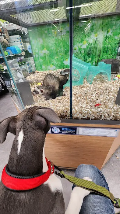 Petco Picture 4