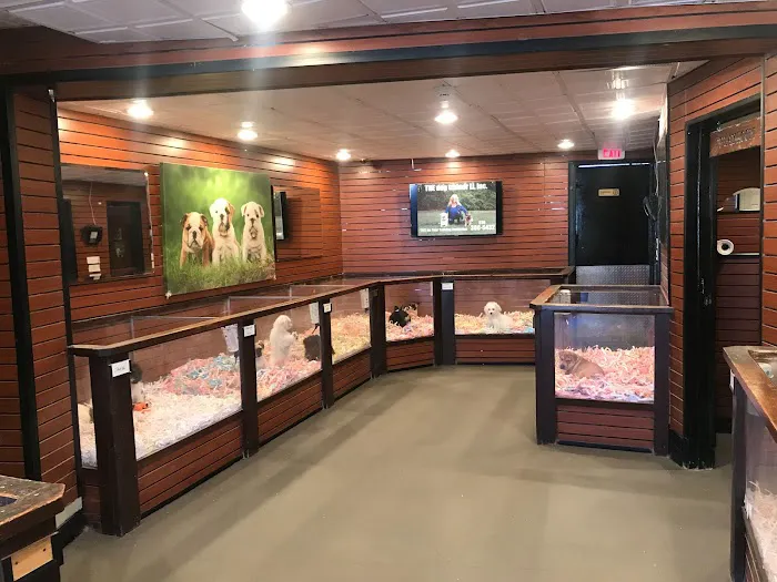 Canine Corral Picture 10