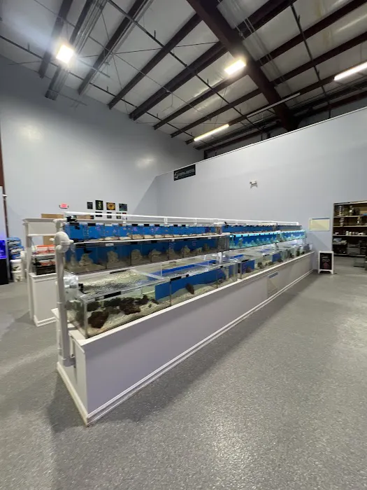 Max Reef Aquatics LLC Picture 3