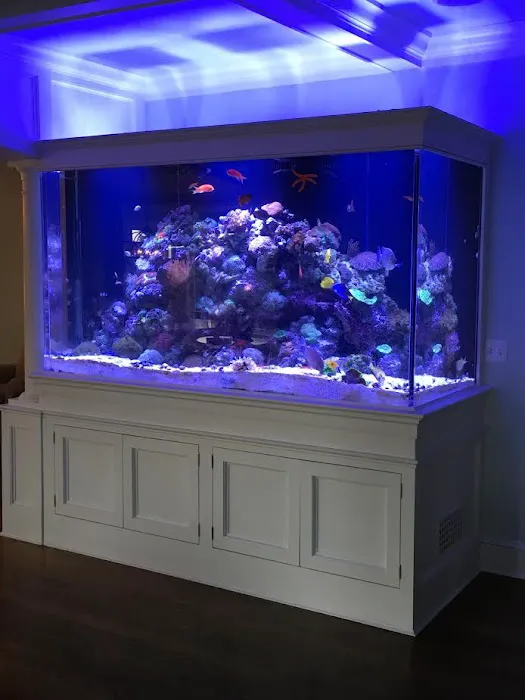 Max Reef Aquatics LLC Picture 7