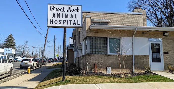 Great Neck Animal Hospital Picture 6