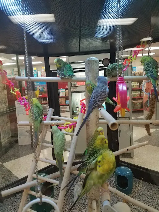 Petco Picture 5