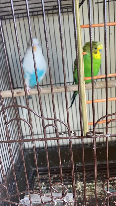 Petco Picture 1
