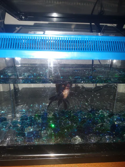 Petco Picture 4